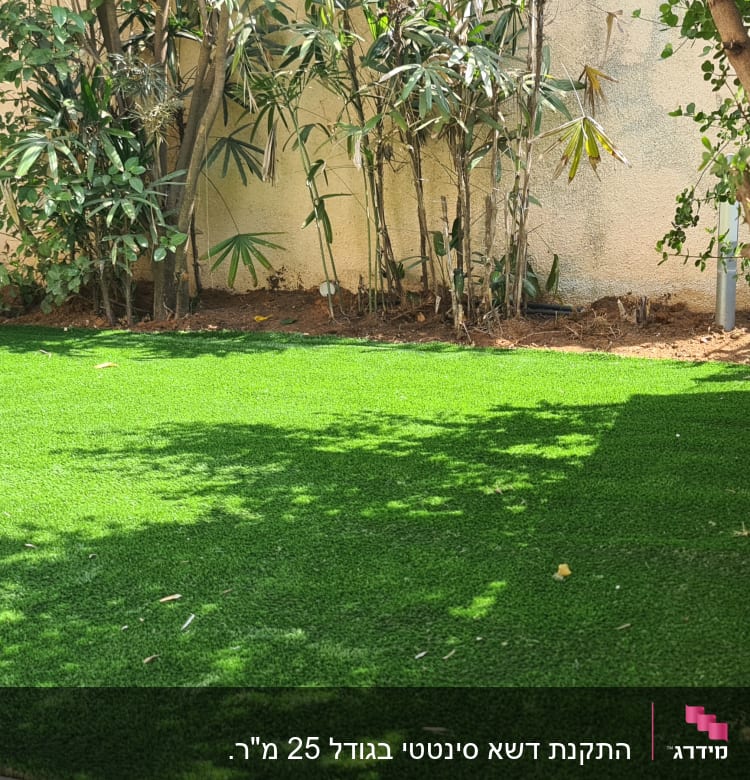 דשא סינתטי ועצים בגינה קטנה